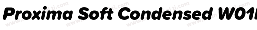 Proxima Soft Condensed W01BlkIt字体转换